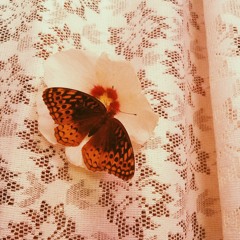 NOOR JEHAN + ve chad meri veeni