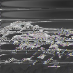 Kuzě - 14/08/2016 - Neukölln, Berlin