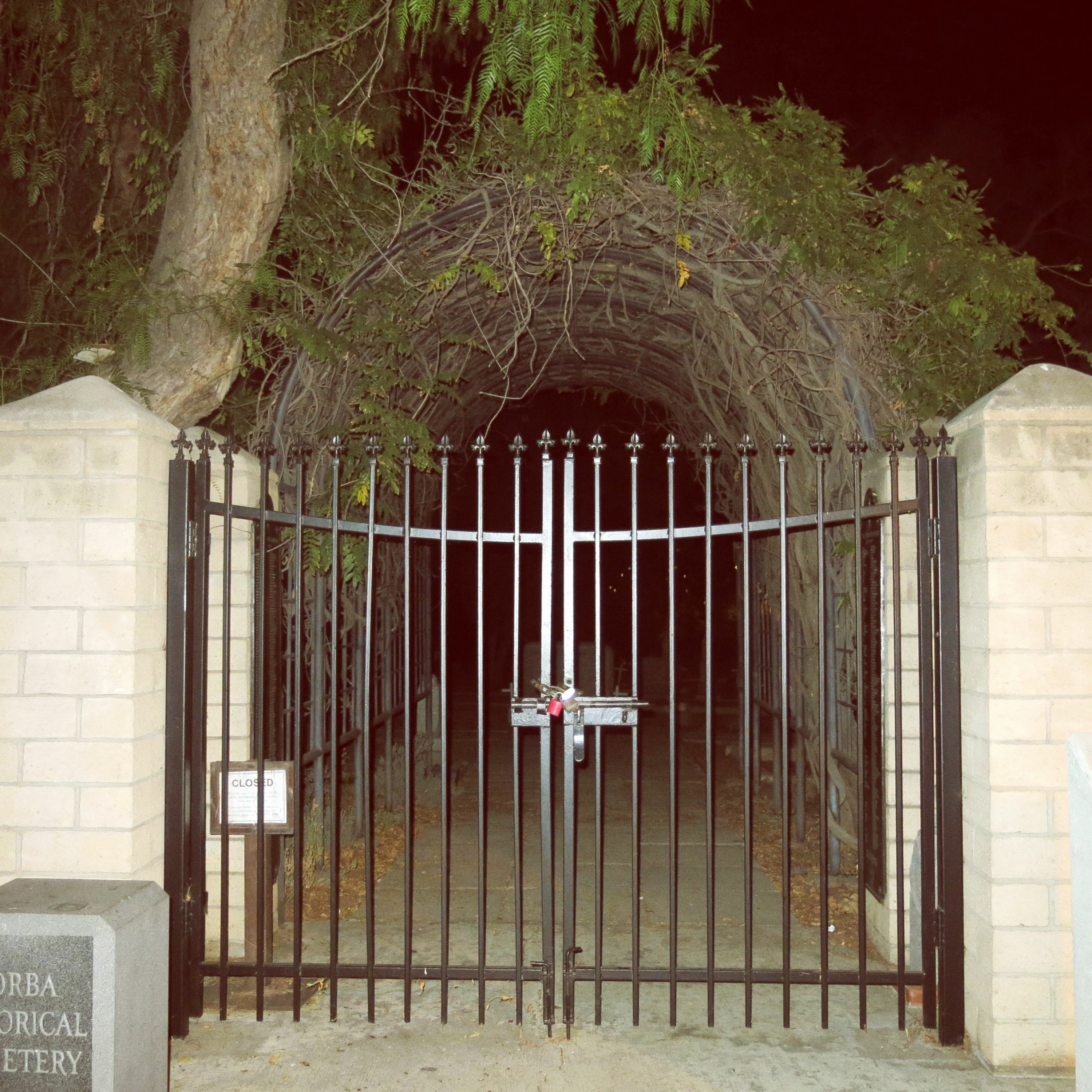 Dark Die-mention Yorba Linda's Pink Lady