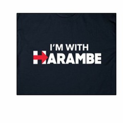 "Here Without Harambe" Tribute (COVER)