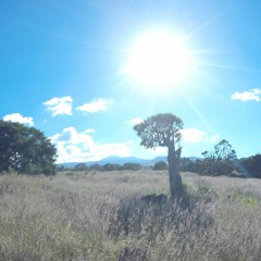 Creation Stepping - Ai Pohaku