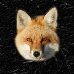 Lyka Fox - Dividing