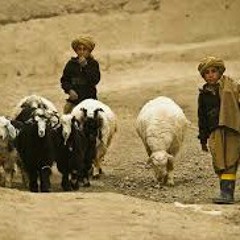 Khumariyaan