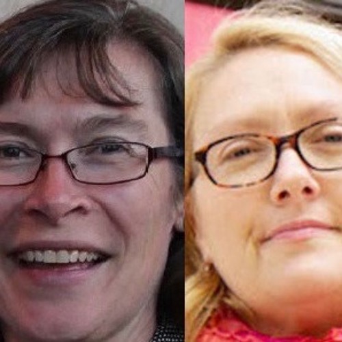 stream-freshed-37-comparative-case-study-approach-fran-vavrus-and