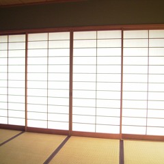 DOORS AND001 preview