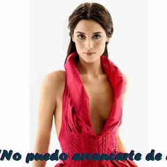 No puedo arrancarte de mi