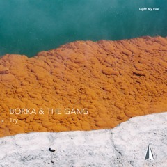 LMF016 – Borka & The Gang – Try [Full Track | 128 kbit/s]