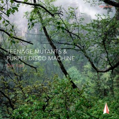 Teenage Mutants & Purple Disco Machine – Get Lost [Snippet]