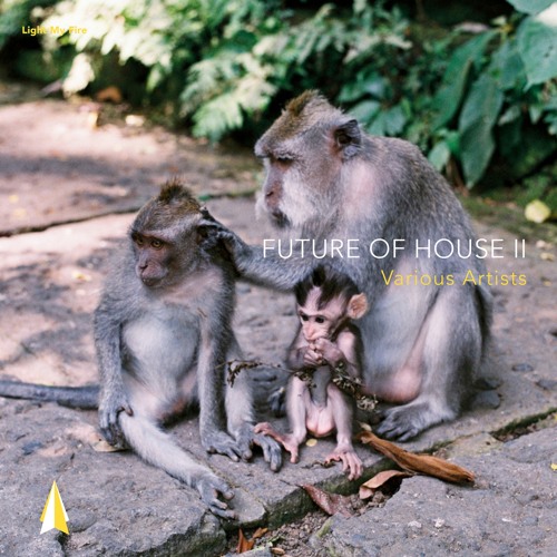 Fat Sushi feat. Terry Shand – Need You [Snippet]