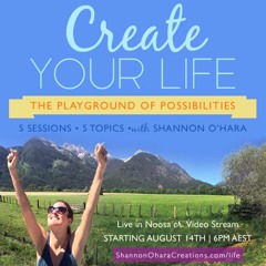 Create Your Life:  The Playground of Possibilities