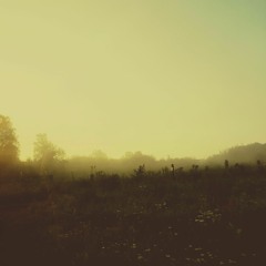 Wake