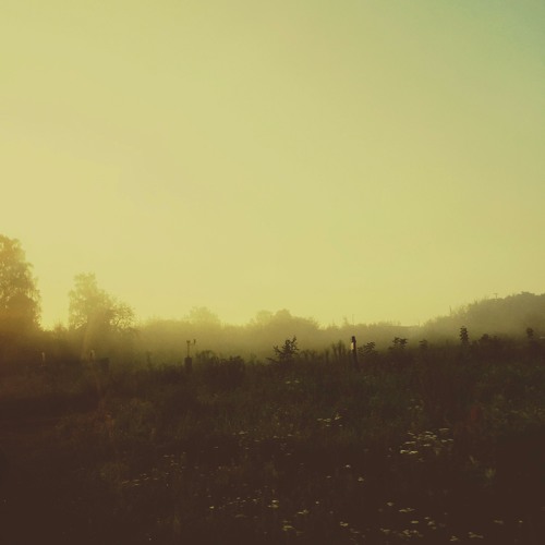 Wake
