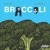 Artwork for DRAM - Broccoli Ft Lil Yachty (BUSTED By Herobust)