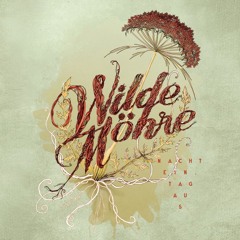 Wilde Möhre Festival 2016