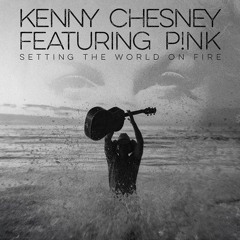 Setting The World On Fire - Kenny Chesney ft. P!nk (Acoustic Cover)