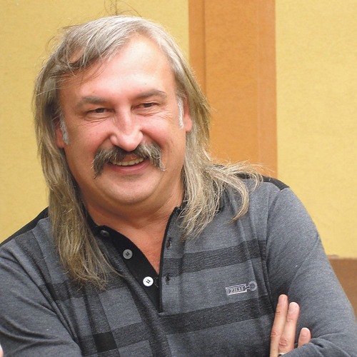 Степан гига биография семья фото