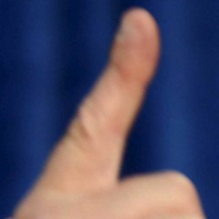 Grits Or Cornbread, Phlegotronic Extrapolations On Cavorting Hottentots Maximum Chimpout Edition