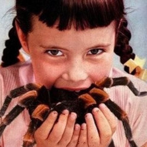 Majistrate - Bug Crusher - Twisted Mainframe REMIX