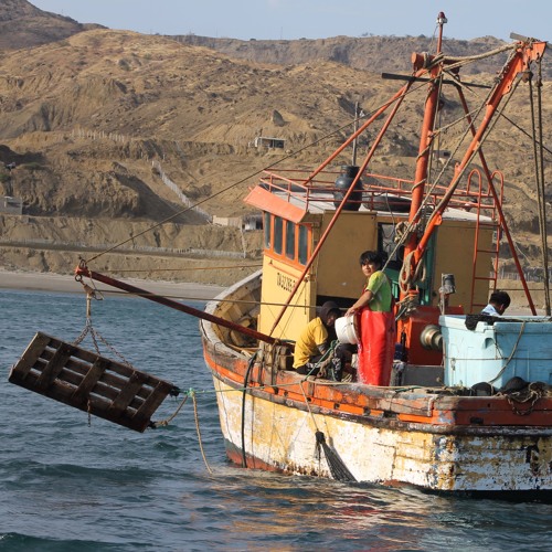 EL ARRASTRE Y EL MAR