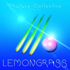 Herbmit - Cymbopogon