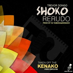 Trevor D-SHOKO RERUDO Pro By DJ TAMUKA