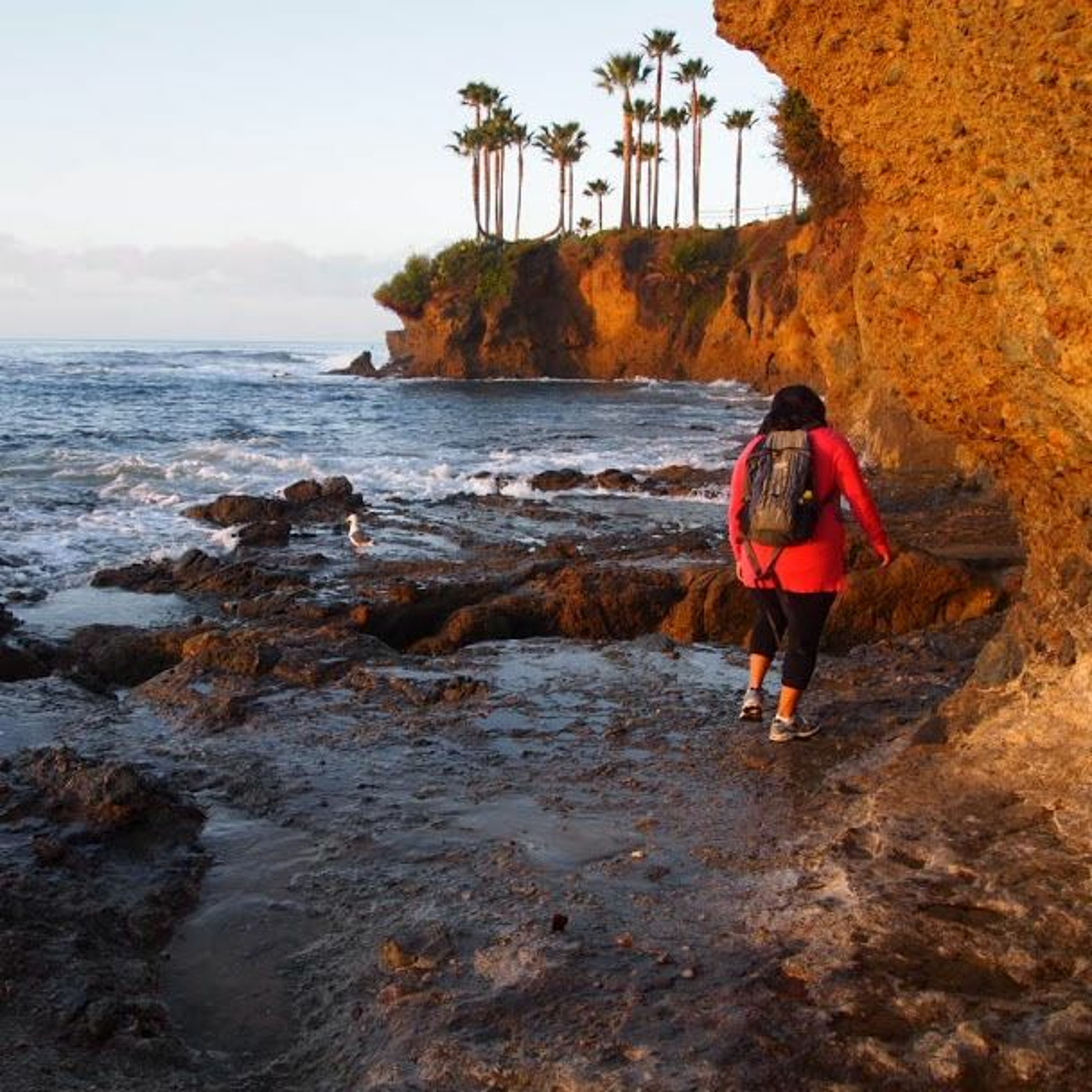 Gonomad Travel Feature of the Week