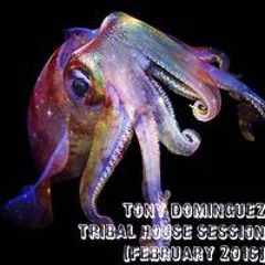 Tony Dominguez - Tribal House Session (February 2016)