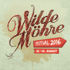 Hans Gabler @ Wilde Möhre Festival 2016