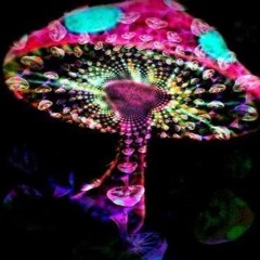 Darkpsy & Forest