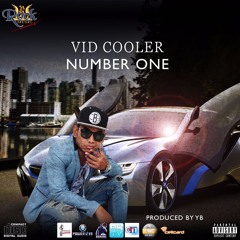 Vidcooler Number - Vid Cooler