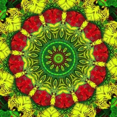 MaximusBrain - Acid Trance to Dark Psy