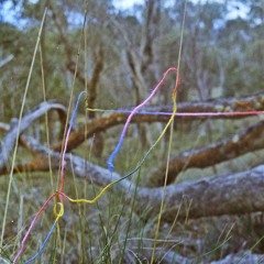 last/late winter demos