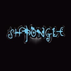 Shpongle - Divine Moments of Truth - Lo Urroz Piano RMX