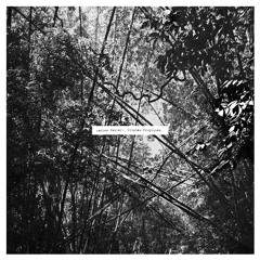 Andrew Pekler: Theme From Tristes Tropiques / Avian Modulations / Life In The Canopy