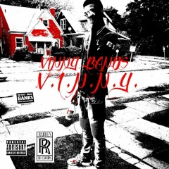 Vinny Bands-V.I.N.N.Y