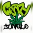 Crazy Jungle