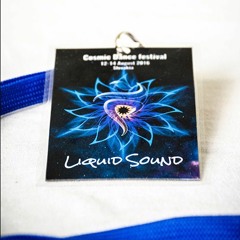 Liquid Sound Live @ Cosmic Dance Festival / Bolesov, Slovakia, 2016