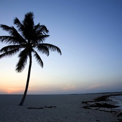 Cadence ft Rhythm - How You Feel