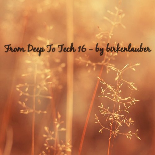 FROM DEEP TO TECH VOL. 16 - By Birkenlauber
