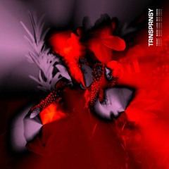 PND x NEV - TRNSPRNSY [YDVST & MARK LUVA RWRK]