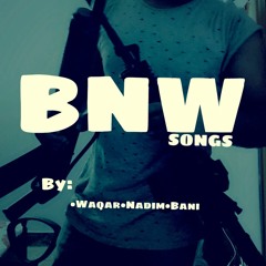 Ay Watan Pak Watan By Waqar(BNW Songs)