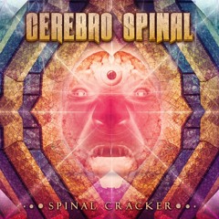 Cerebro Spinal - Spinal Cracker