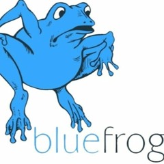 BLUE FROG (NEGATIVE HEADPHONE & VM18)