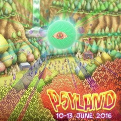 leAir @ PSYLAND Festival 2016