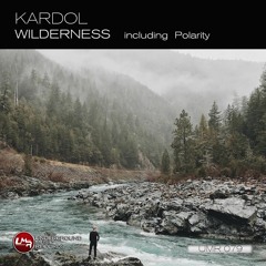 Wilderness (Original Mix)