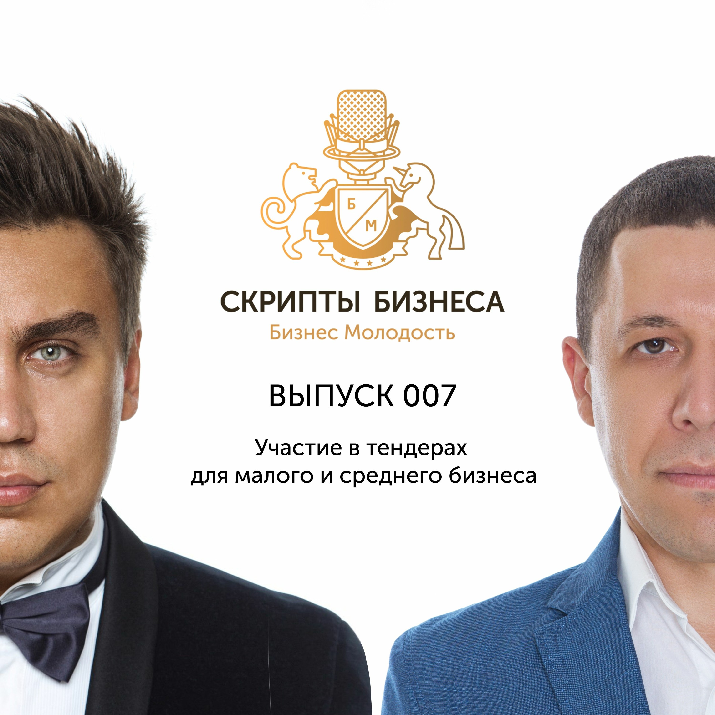 Скрипты Бизнеса - Участие в тендерах для малого и среднего бизнеса