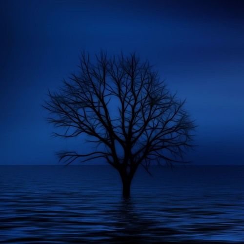 mPulse - Never Ending Dream