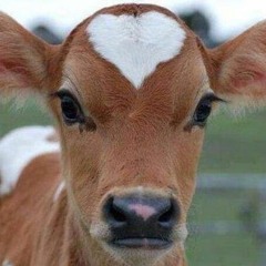 August 2016...my choice