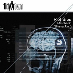 Riot Brothers - Flashback