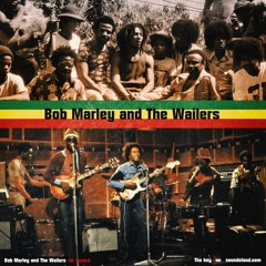 Bob Marley & The Wailers - Rastaman Chant Rar Record